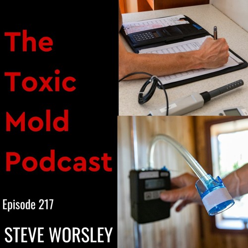 EP 217: Toxic Mold Testing 101