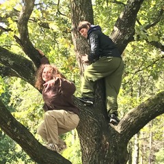 Keta Koen Og Techno Træerne