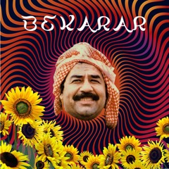 Bekarar Flip | Vneeeet