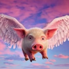 SpiderCochon Takes His Plane For A Ride