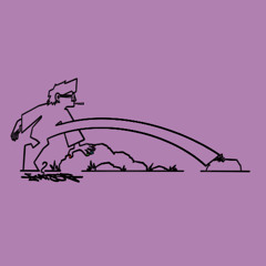 06