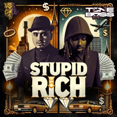 STUPID RICH FT TONE DA BOSS (MUSIC VIDEO IN DESCRIPTION)