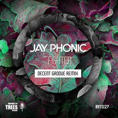 Jay Phonic - Fighter (Decent Groove Remix)