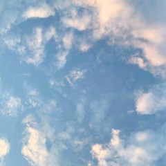 pieceforpeace_short(2020)