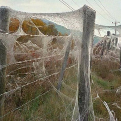 The Liquid Library of Movements!