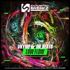 Vkyng & Dr beats - Low flow (Original mix)