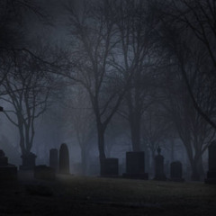 Bullet In The Gun - Theary Alex Remix (9527)