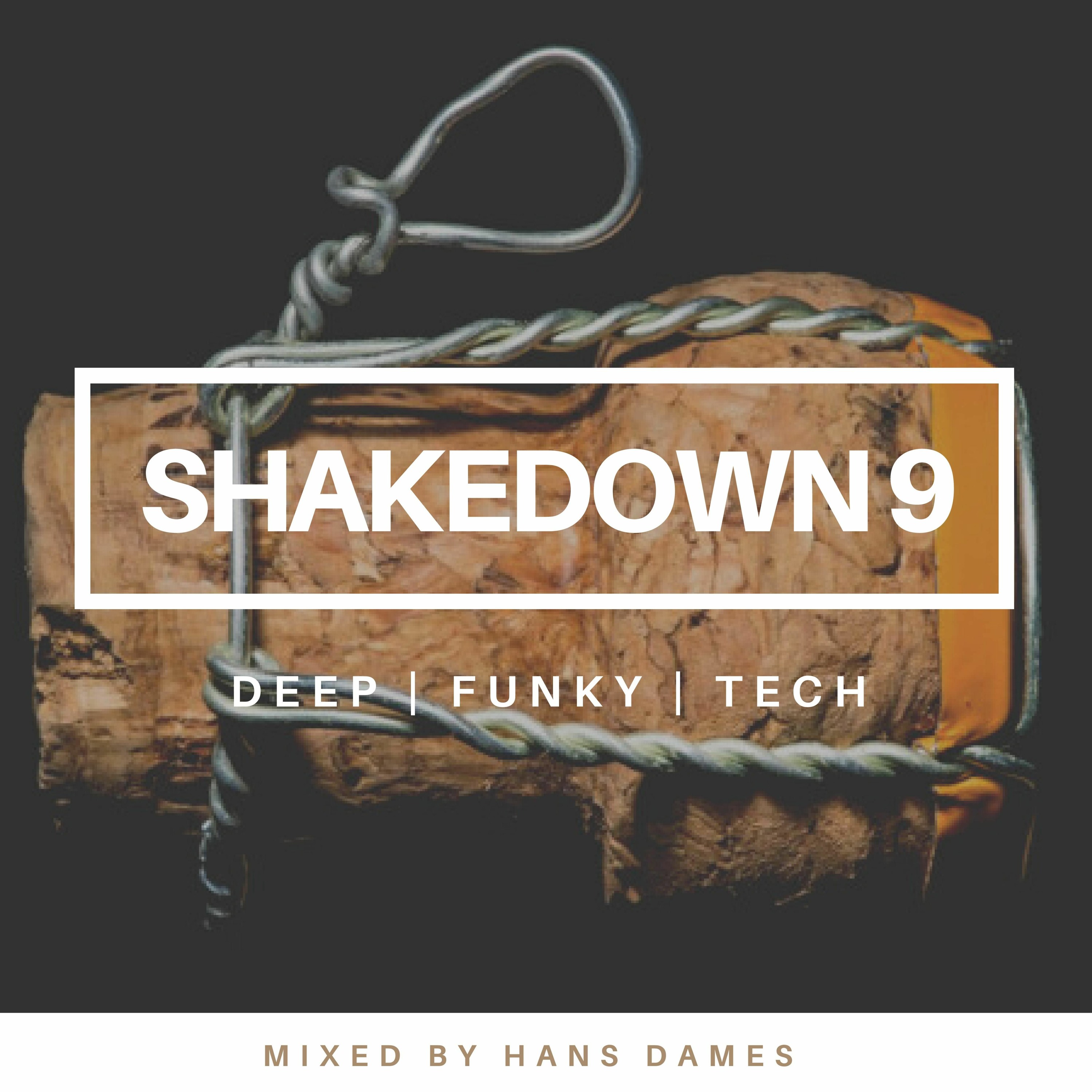 SHAKEDOWN 2022 #9 - mixed by Hans Dames episode artwork