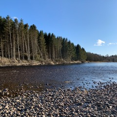 The River Dee (Live) - Dear Alba