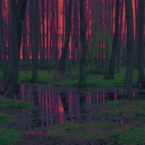 my barn my rules (techno remix)