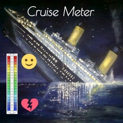 Cruise Meter