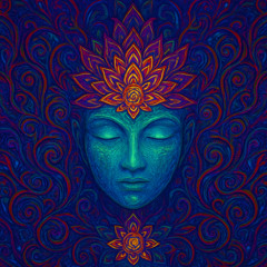 Nature Live-2025-11-28