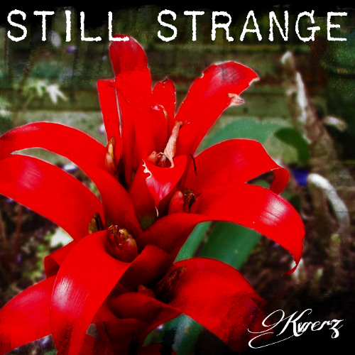 Kwerz - Still Strange