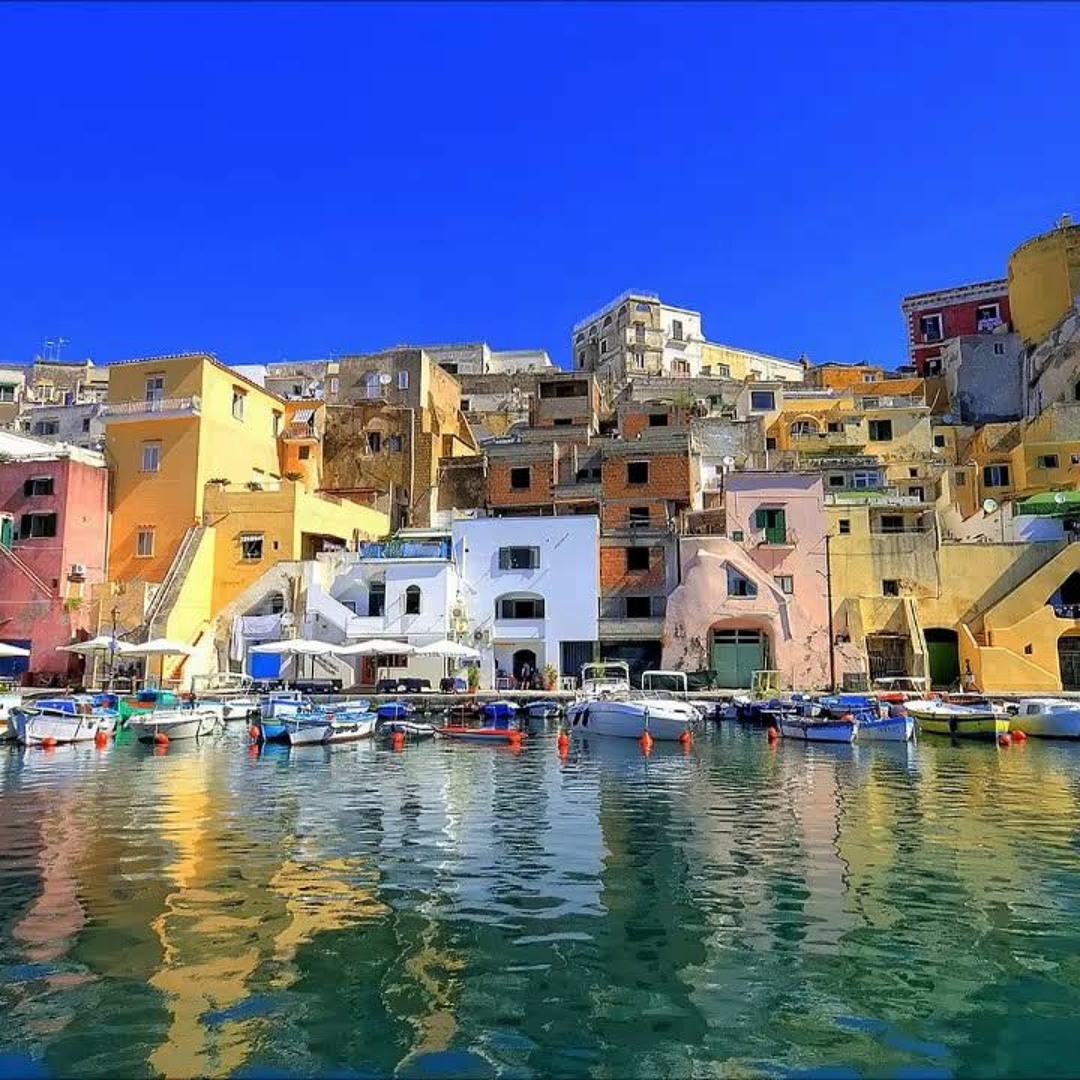 Georgina petrushinova