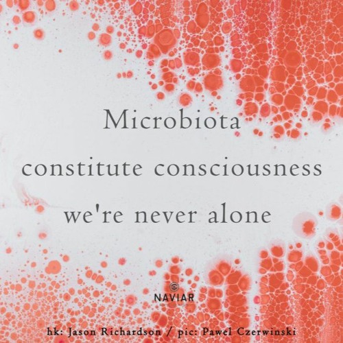 Never Alone (naviarhaiku441)