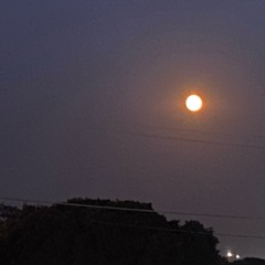 Me&MyDame (prod. DJ $un$et$hawty)