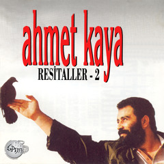 Deli Kuşun Öttüğü