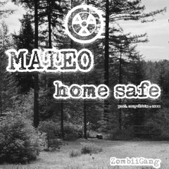 home safe (prod. recyclebin + cavz)