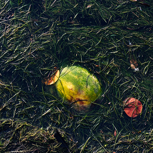 nurture district