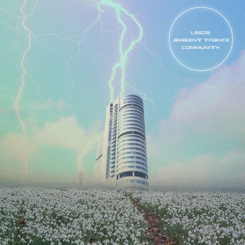 Rowan - Let Go
