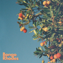 Bongo Rhodes