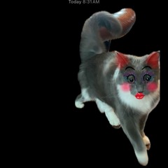 MEOW CUNT COMMENTARY #MEOW #SOPUSSY (keno)