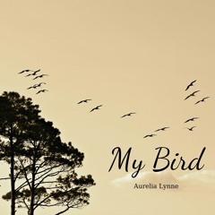 My Bird