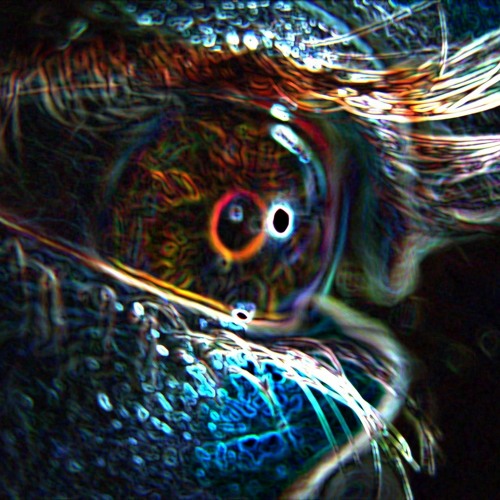 Stream Wet Blanket (feat. Howl Rabbit) by In Human Creation Music(Don