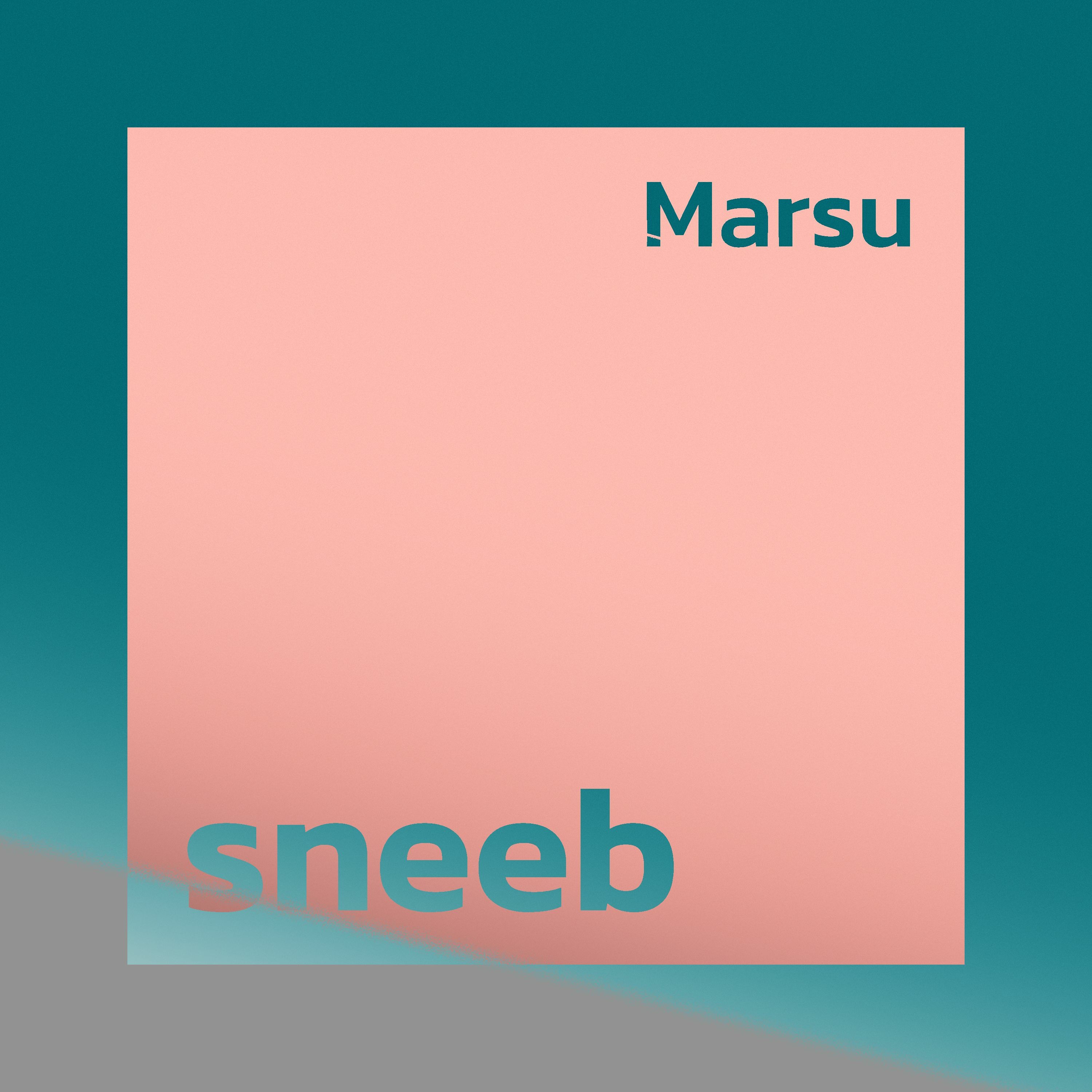 sneeb episode artwork