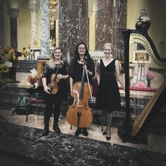 A Thousand Years - Christina Perri - Violin, Cello & Harp Trio Cover
