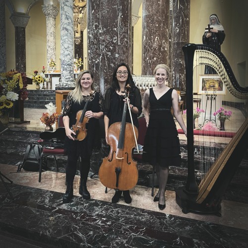 A Thousand Years - Christina Perri - Violin, Cello & Harp Trio Cover