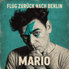 Flug zuruch nach Berlin