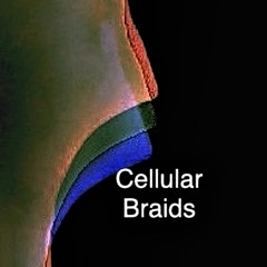 Cellular braids