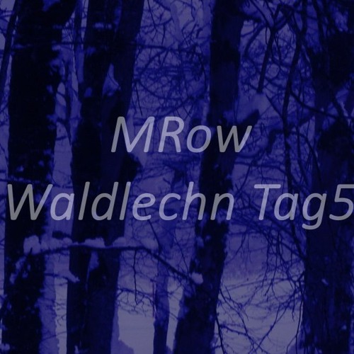 MRow - Waldlechn Tag5