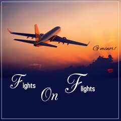 fights on flights