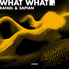 What What (Extended Mix)