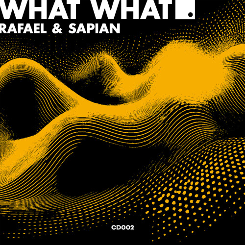What What (Extended Mix)