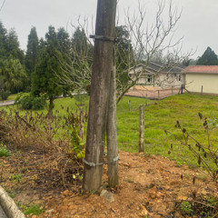 Poste de energia torto preocupa moradores de Itanema, em Lauro Müller