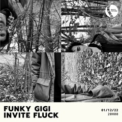 Stochastic Idm - Fluck