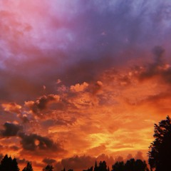 it's always been beautiful