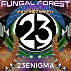 23 Enigma - NYE2025 Rise of the celestial goat ( Acid Techno)