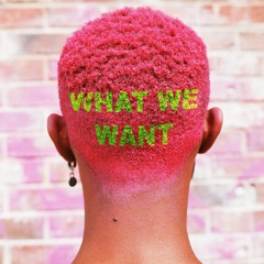 What We Want (WWW)