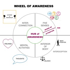 Wheel Of Awareness