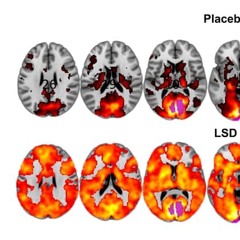 puff bar extra reupload from 2019