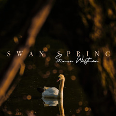 Swan Spring