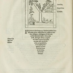 Le Tiers Livre ˖ ᡣ𐭩 ⊹ ࣪  ౨ৎ˚₊
