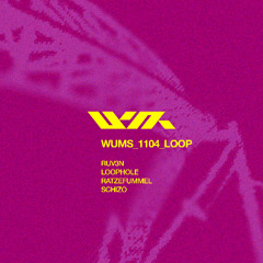 WUMS1104 - Loophole b2b Ratzefummel