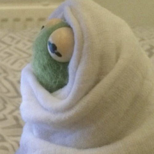 Vài Lần Đón Đưa