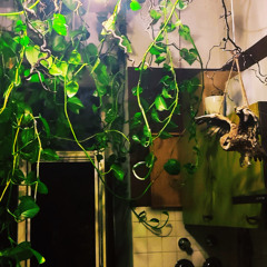 Shocky - Regen (Audjence Mashup Remix 2)