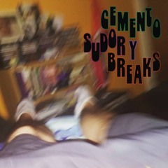 Cemento , Sudor y Breaks